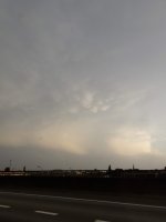 20190725_205202.jpg