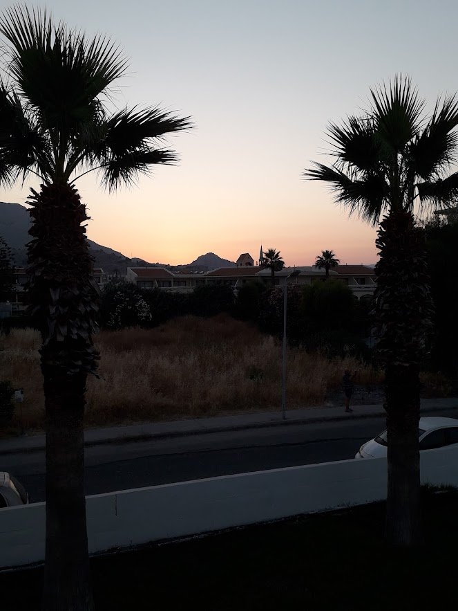 Palms of Nerja